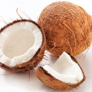 নারকেল (Narikel / Coconut)