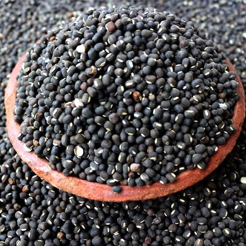 মাসকরাই (Black Gram / Whole Urad Dal) - Image 2