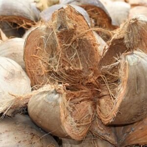 ছোবড়া (Coconut Husk)