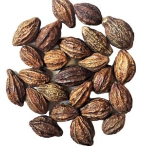 হরীতকী (Haritaki)