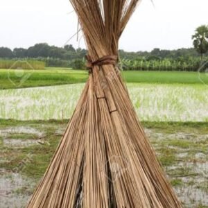 পাটকাঠি (Patkathi / Sacred Grass Stick) 1pc.