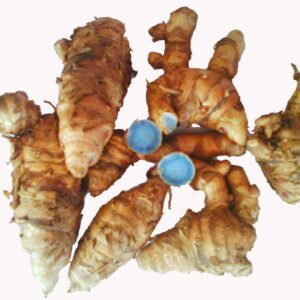 সাদা হলুদ (White Turmeric / Haldi)