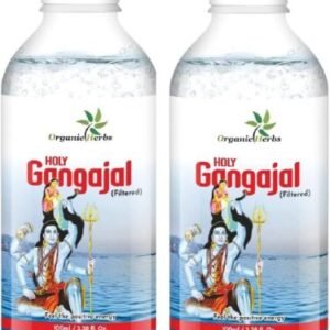 গঙ্গাজল (Gangajal / Holy Ganga Water)