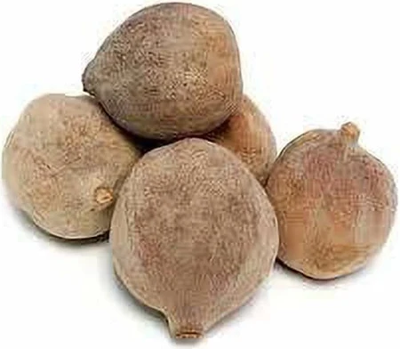 বহেড়া (Baheda / Terminalia Bellirica)