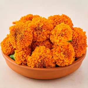 গাঁদা ফুল (Ganda Phool / Marigold Flower)