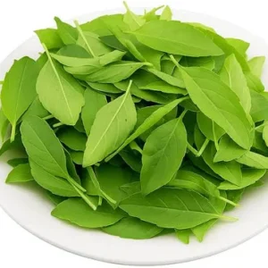 তুলসী পাতা (Tulsi Patra / Holy Basil Leaves)