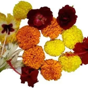 ফুল (Phool / Flower)