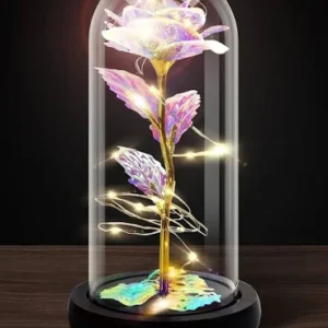 Rose in Glass Dome (Battery Operated).