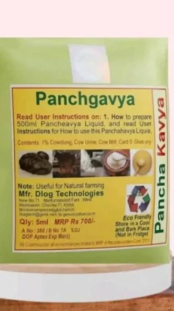 পঞ্চগব্য (Panchagavya / Five Sacred Substances)