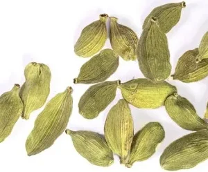 ছোট এলাচ (Small Cardamom / Chhoto Elach)