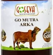 গোরচনা (Gorachana / Cow’s Gallstone)